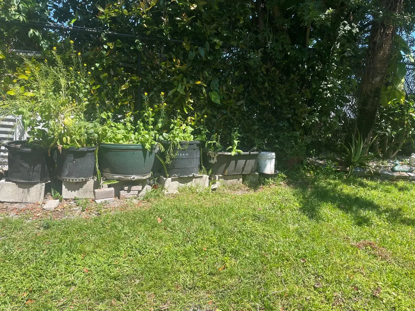 804 Summit Lake Drive, West Palm Beach FL 33406 photo 4