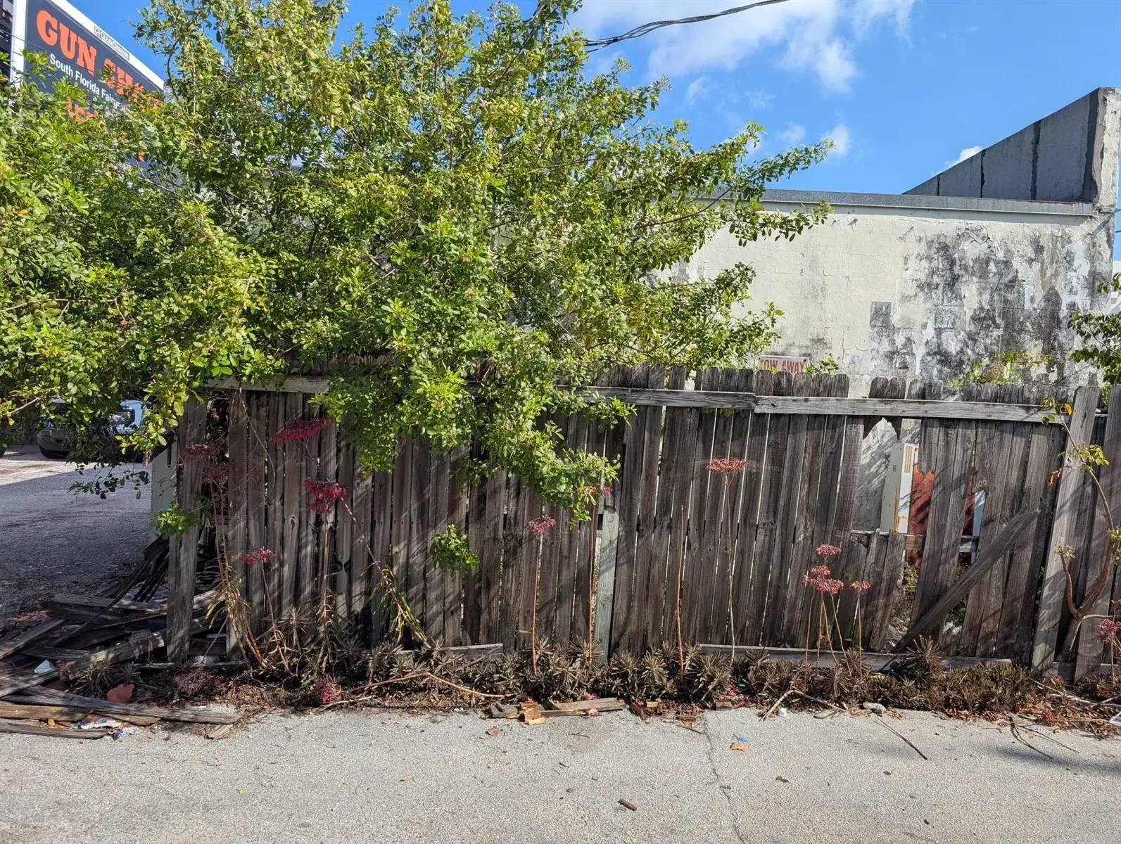 734 Belvedere Road, West Palm Beach FL 33405 photo 4
