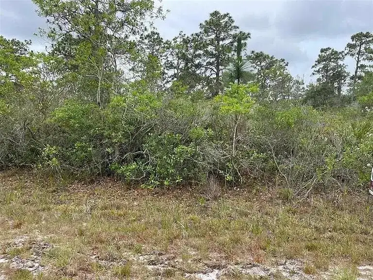 0 Bougainvillea Drive, FL 33855 photo 2