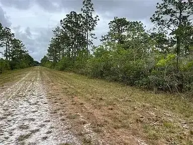 0 Bougainvillea Drive, FL 33855 photo 3