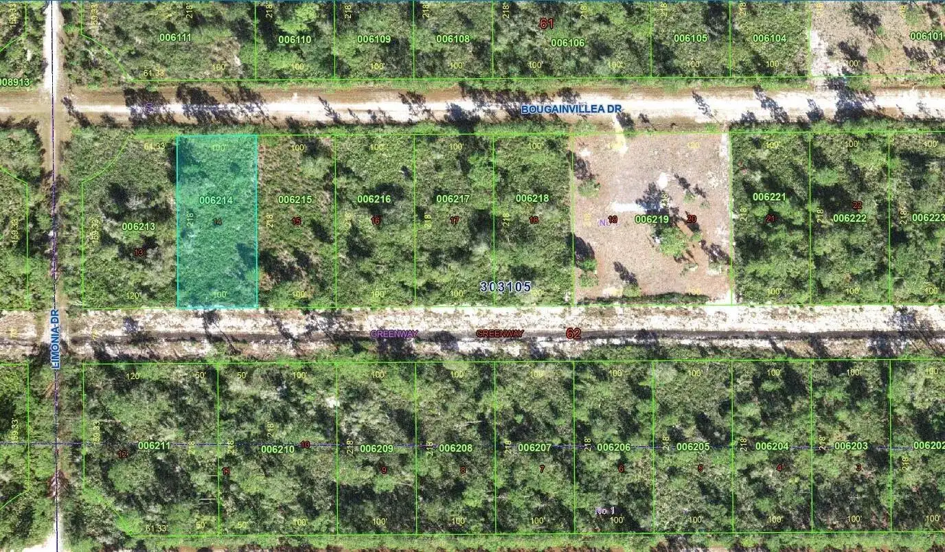0 Bougainvillea Drive, FL 33855 photo 5