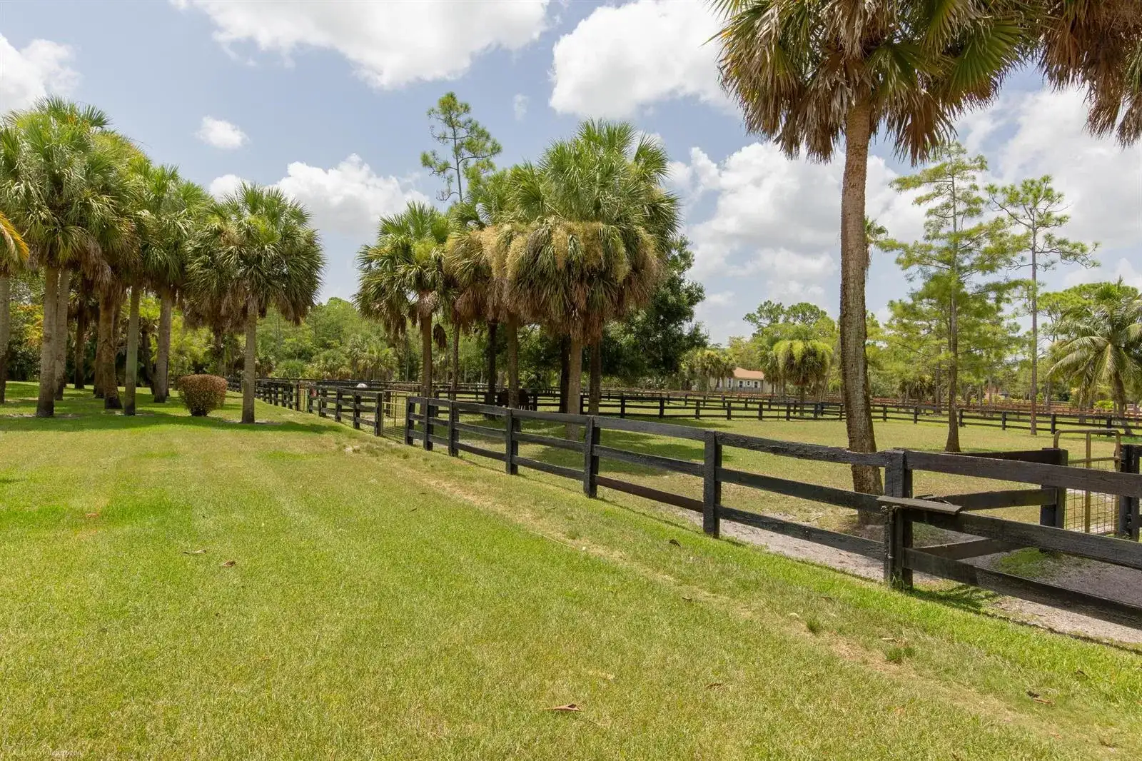 1321 Pelham Road, Wellington FL 33414 photo 3