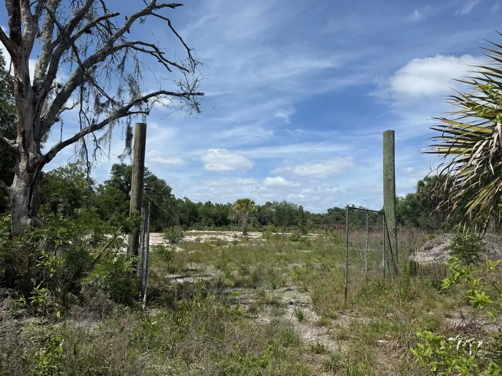 18121 NW 256th Street, Okeechobee FL 34972 photo 2