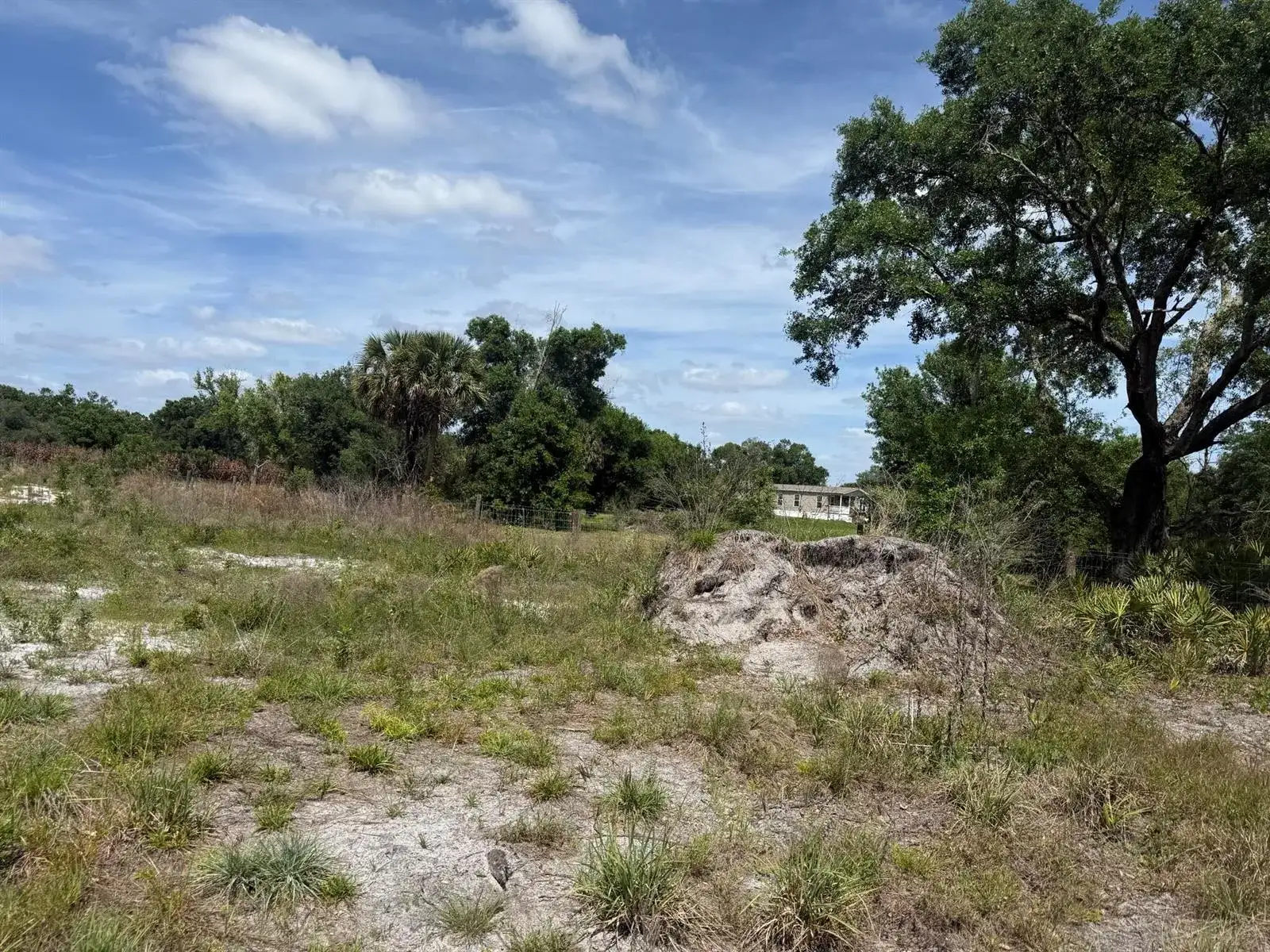 18121 NW 256th Street, Okeechobee FL 34972 photo 3