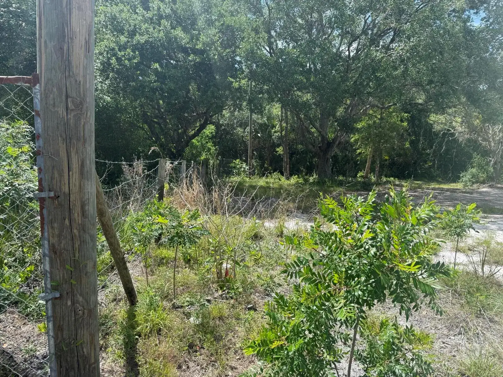 18121 NW 256th Street, Okeechobee FL 34972 photo 5