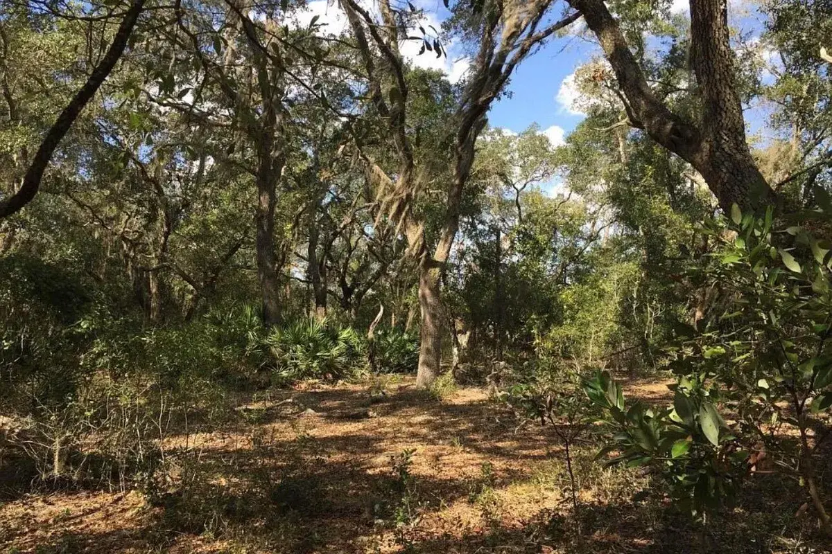 8922 E Gulf To Lake Highway, Inverness FL 34450