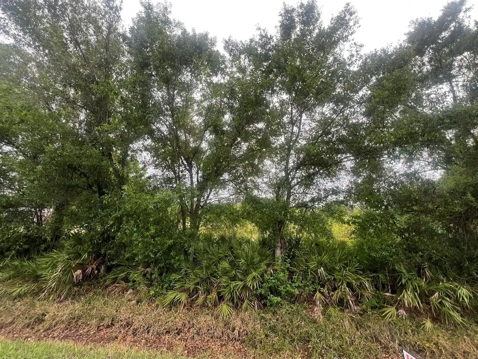 3347 NW 17th Avenue, Okeechobee FL 34972