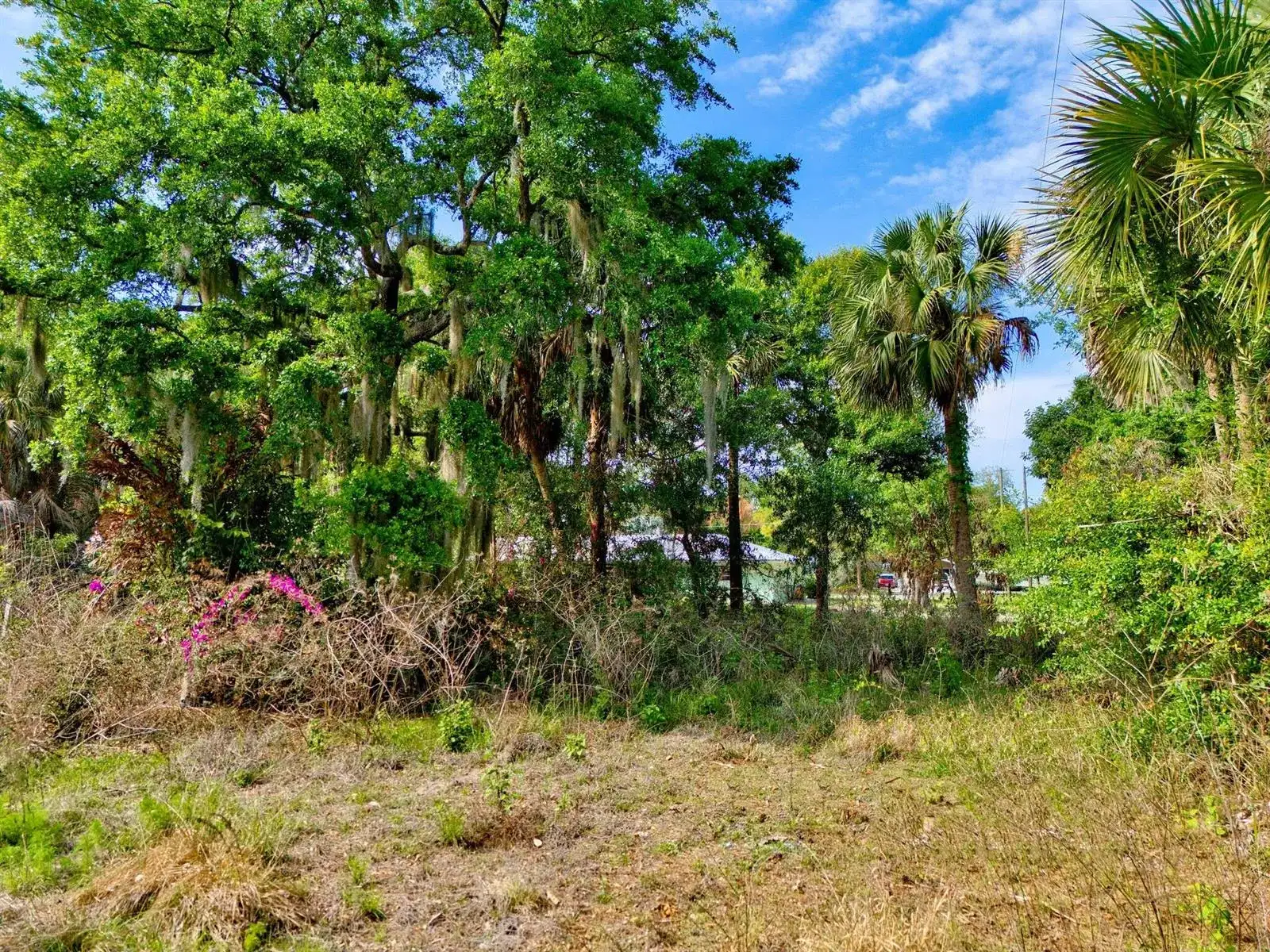 1202 Australian Avenue, Fort Pierce FL 34982 photo 3