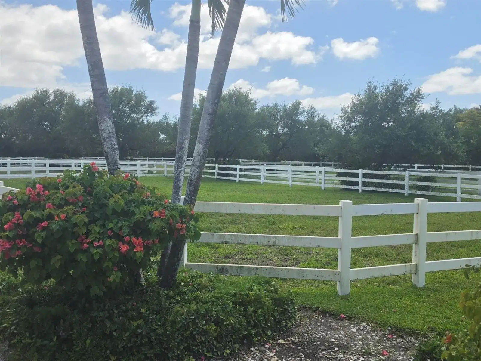 14127 Equestrian Way, Wellington FL 33414 photo 3