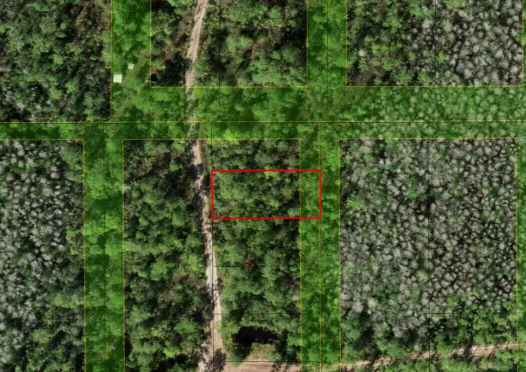 0 Holopaw Groves Road, FL 34772 photo 3