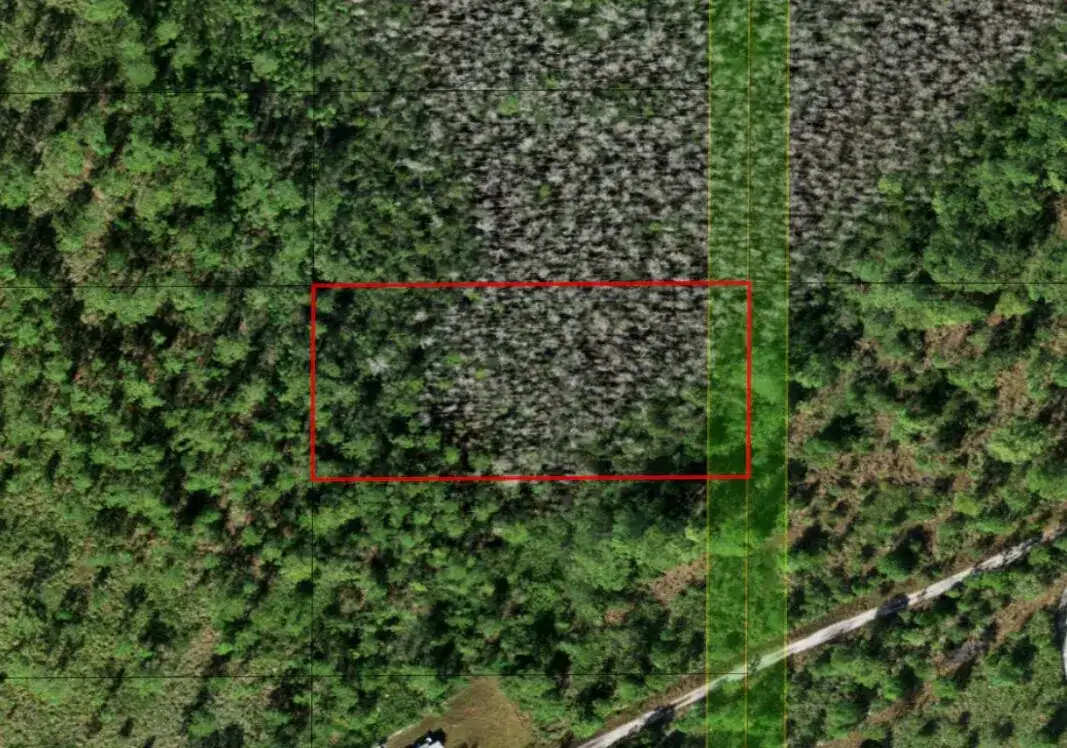 0 Holopaw Groves Road, FL 34772 photo 3
