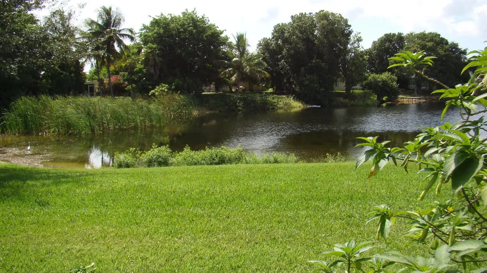 3845 Victoria Drive, West Palm Beach FL 33406 photo 3