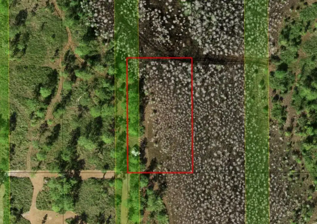 0 Holopaw Groves Road, FL 34772 photo 4