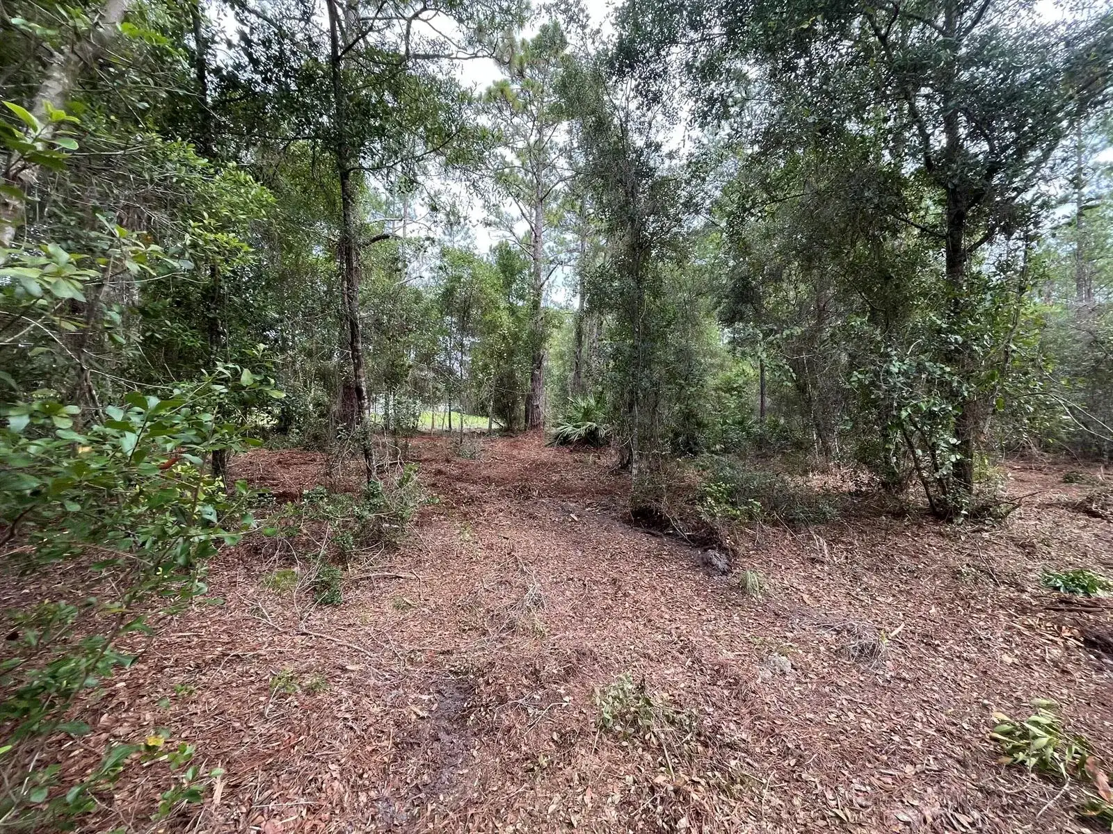 122 Glenside Street, FL 32139 photo 2