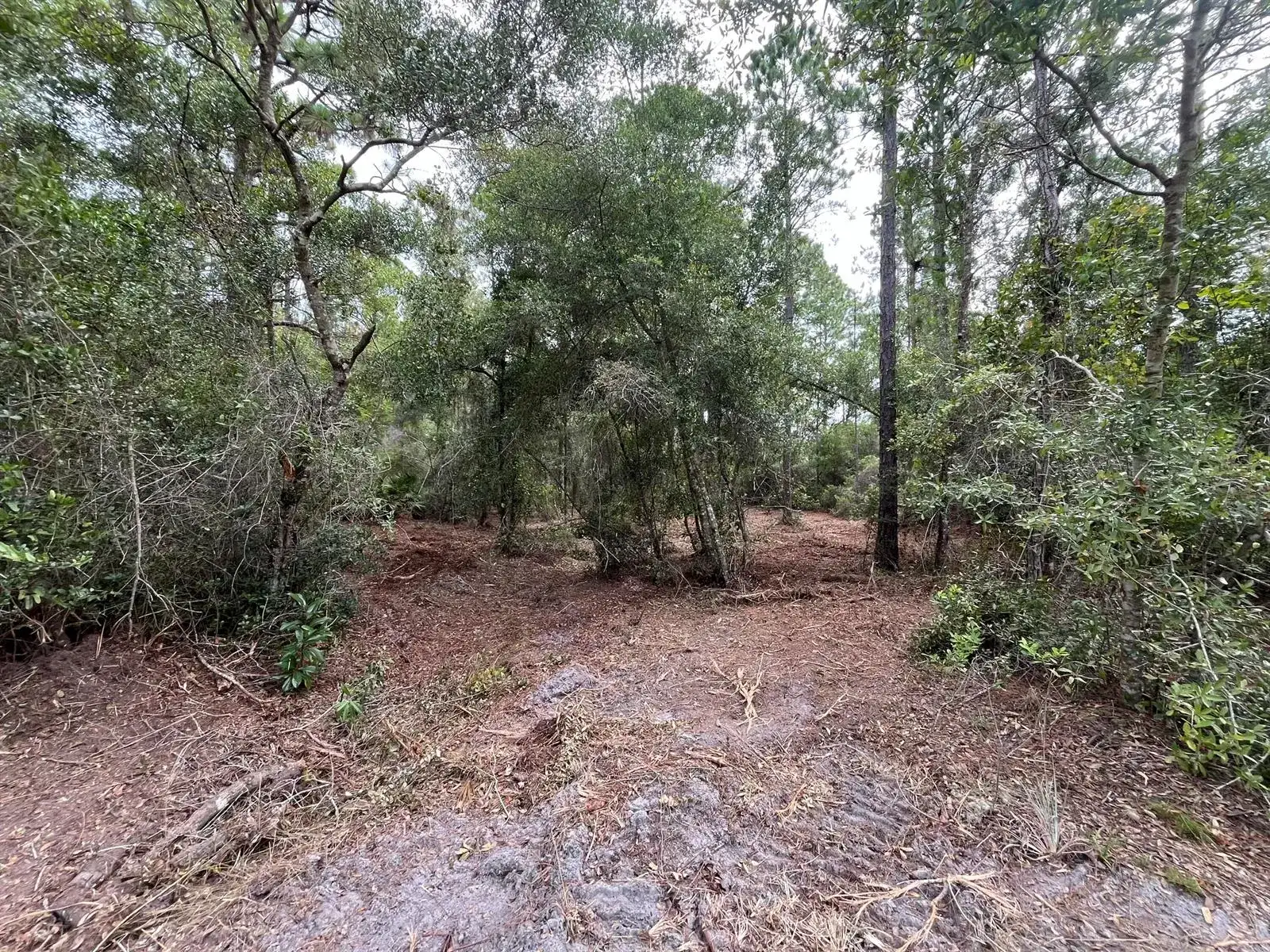 122 Glenside Street, FL 32139 photo 3