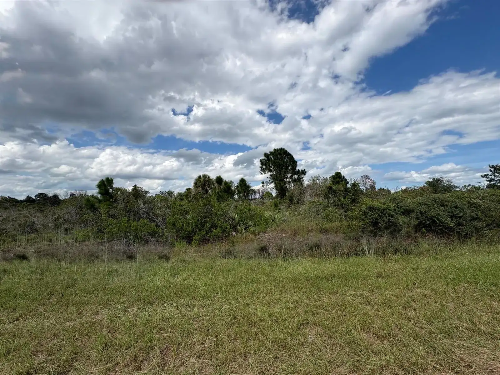17275 NW 308th Street, Okeechobee FL 34972 photo 2