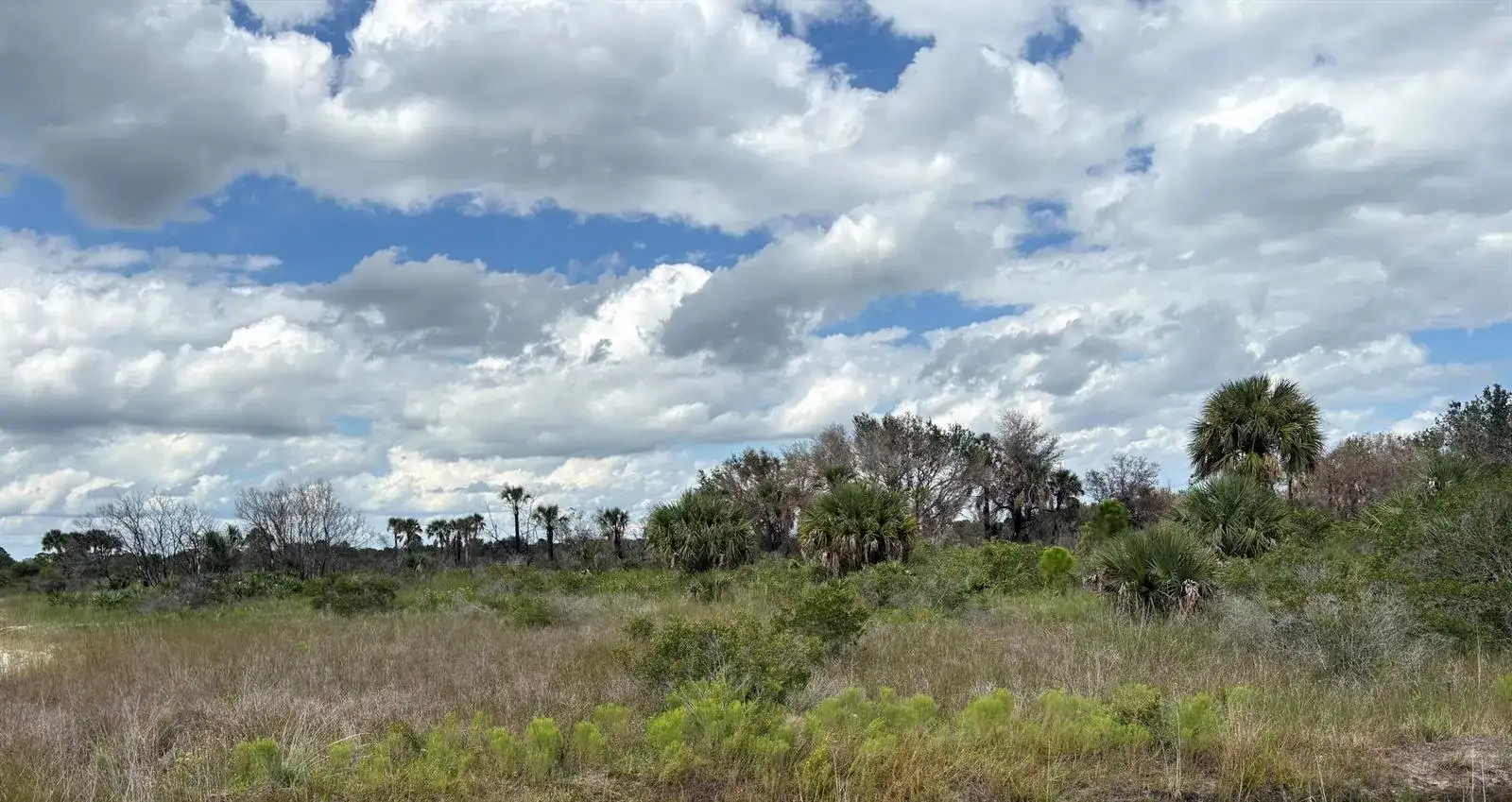 17275 NW 308th Street, Okeechobee FL 34972 photo 3