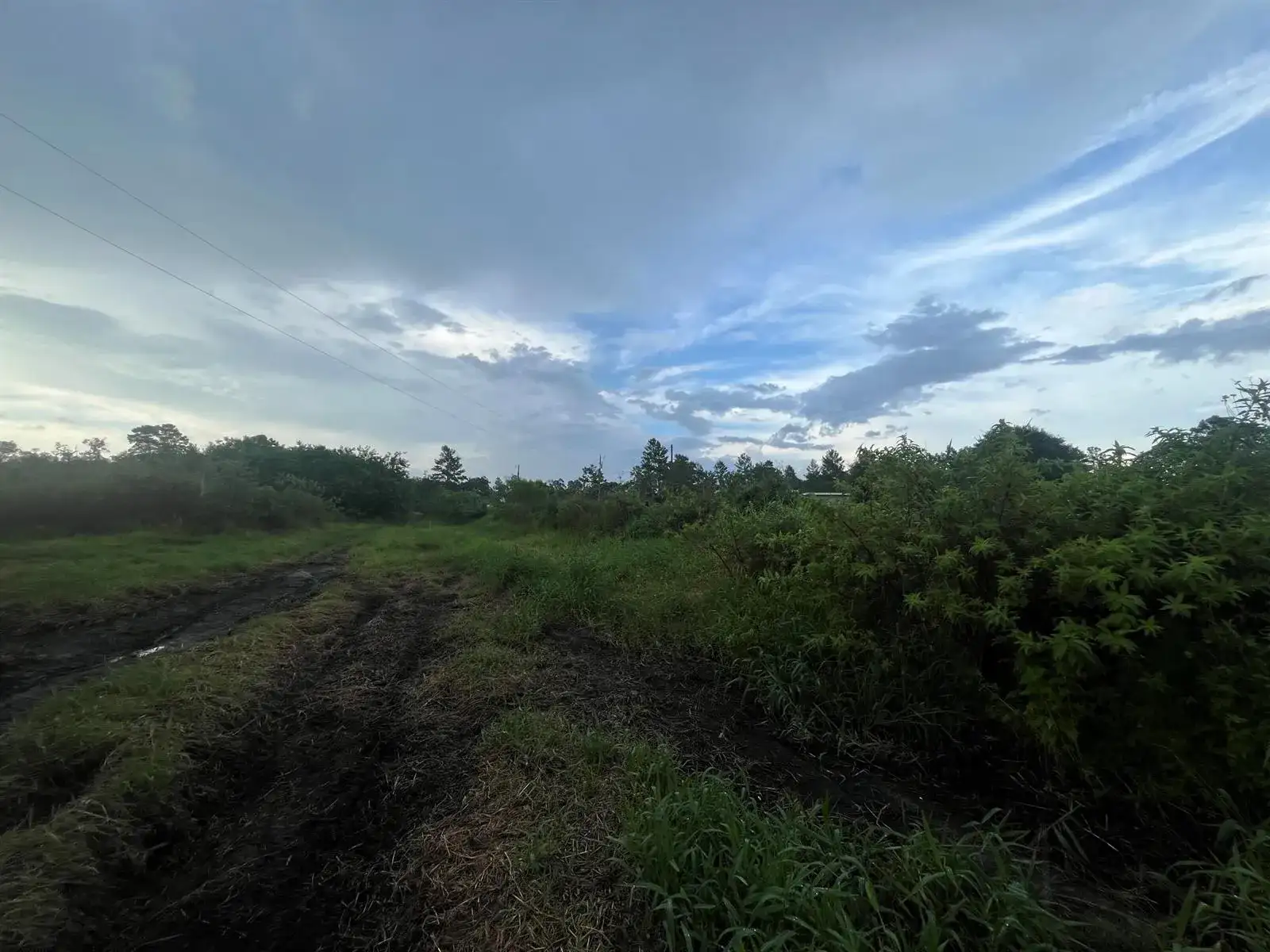 0 E State Rd 60, Okeechobee FL 34972 photo 4