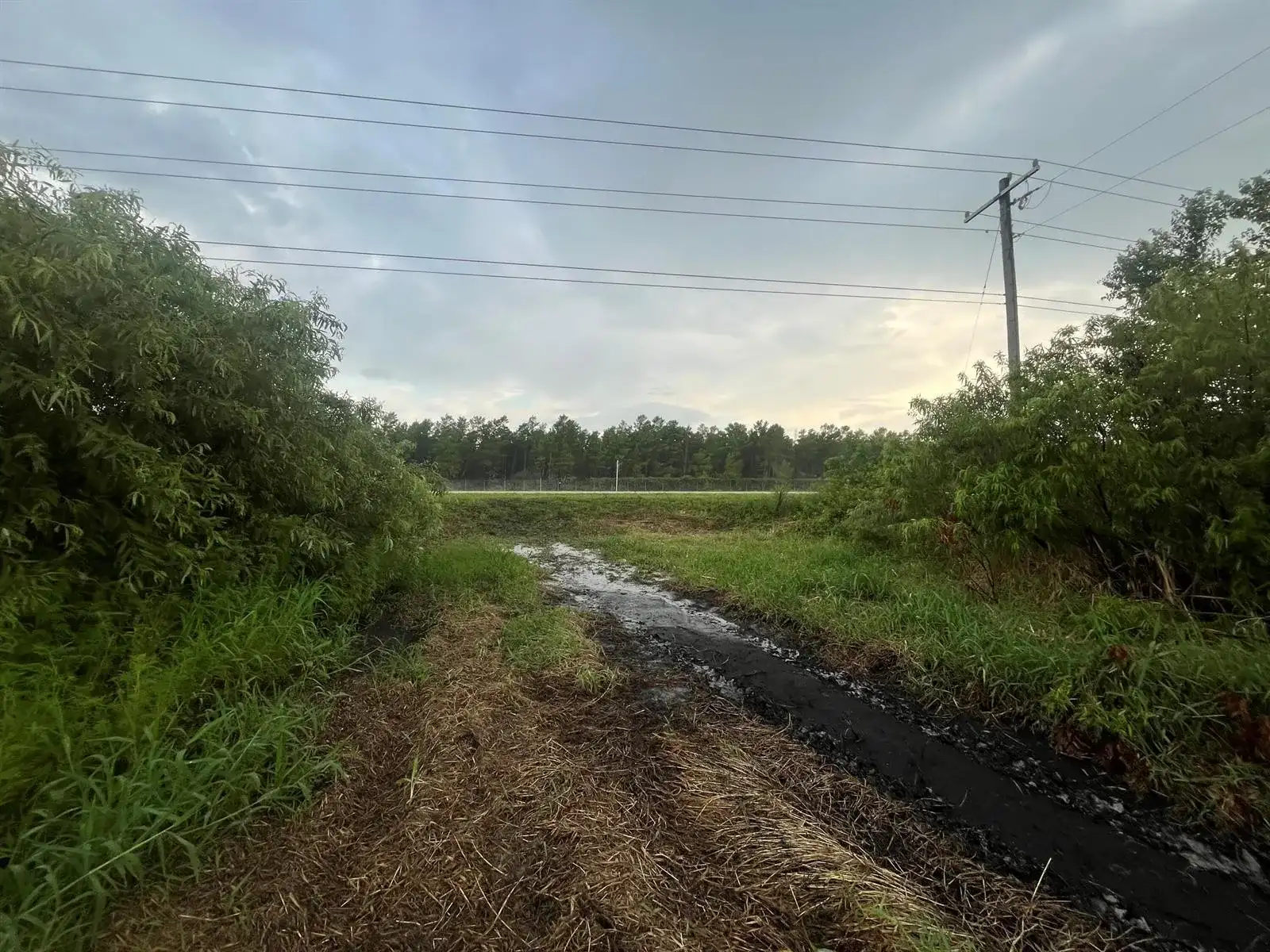 0 E State Rd 60, Okeechobee FL 34972 photo 5