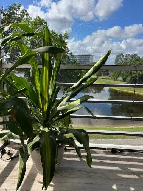 2751 N Palm Aire Drive # 402, Pompano Beach FL 33069