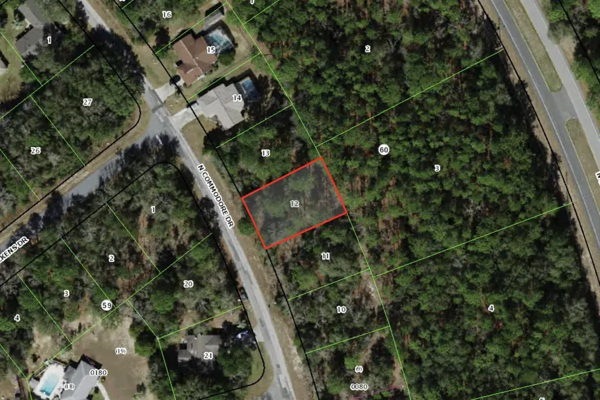 9119 N Commodore Drive, FL 34434