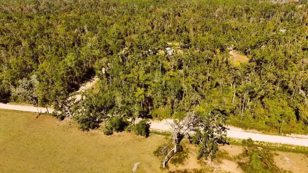 Lot 56 NW 29th Loop, FL 32053 photo 3
