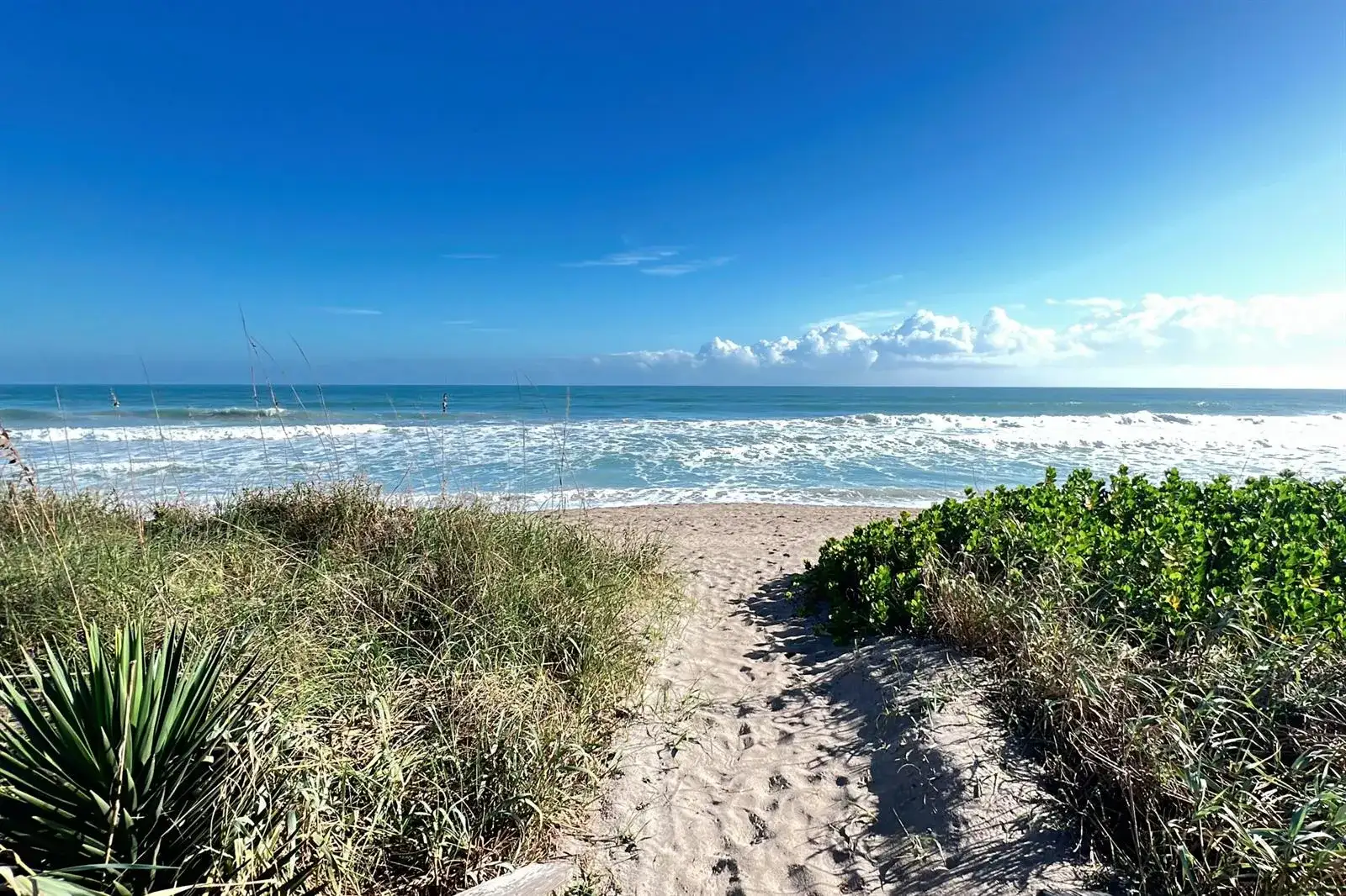3541 NE Ocean Boulevard NE # 15, Hutchinson Island FL 34957 photo 5