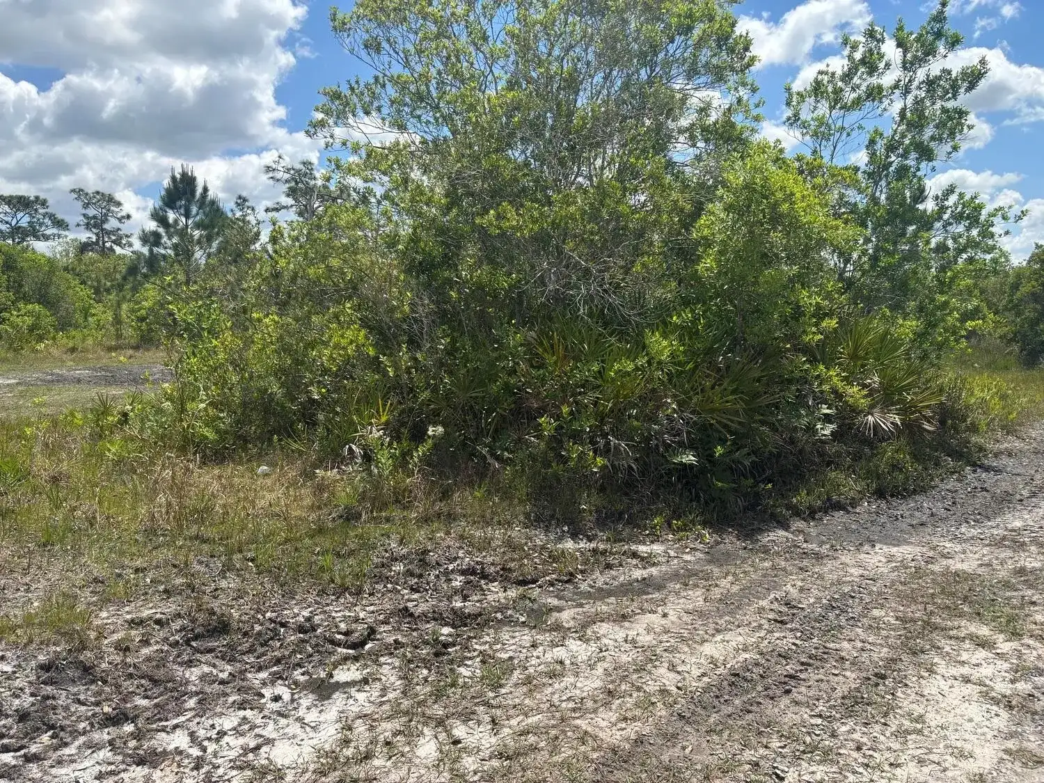 0 Holopaw Groves Road, FL 34772 photo 2