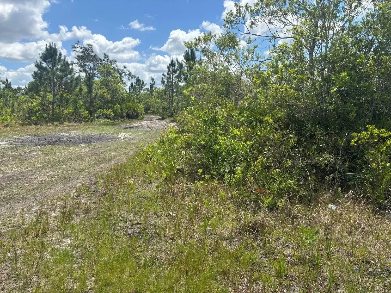 0 Holopaw Groves Road, FL 34772 photo 3