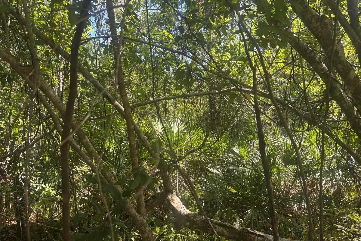 536 Bright Hill Avenue, Lake Placid FL 33852