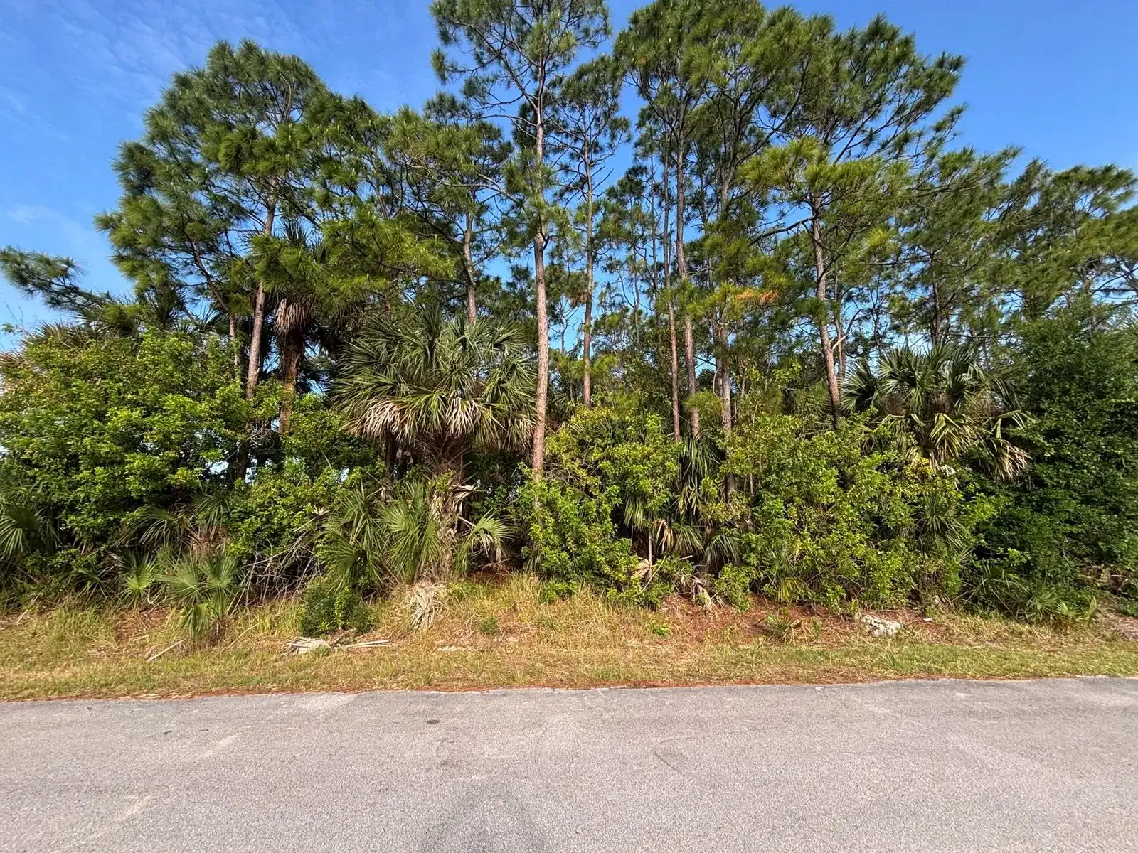 556 NE Burlington Ave Avenue NE, Palm Bay FL 32907