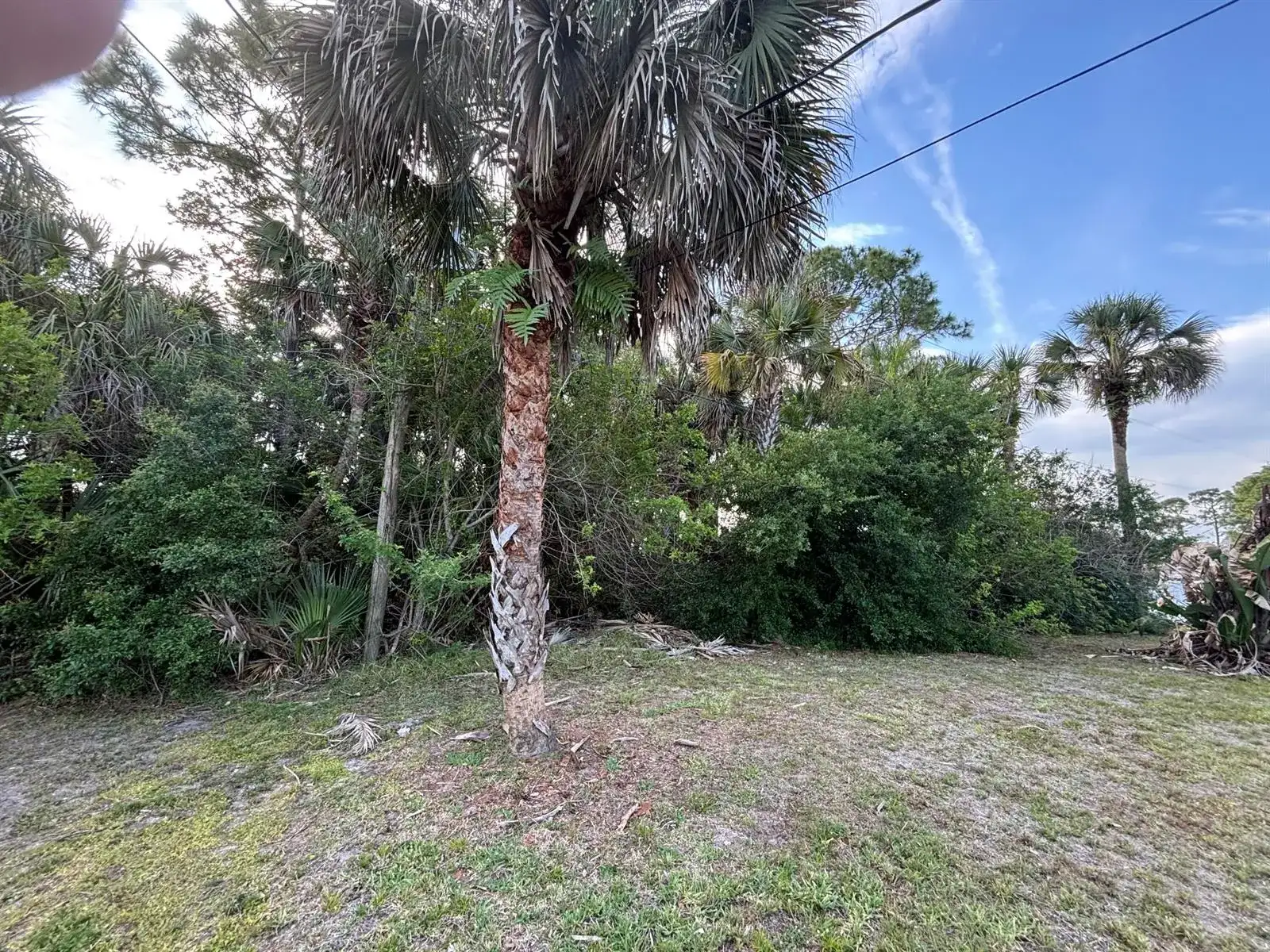 556 NE Burlington Ave Avenue NE, Palm Bay FL 32907 photo 5