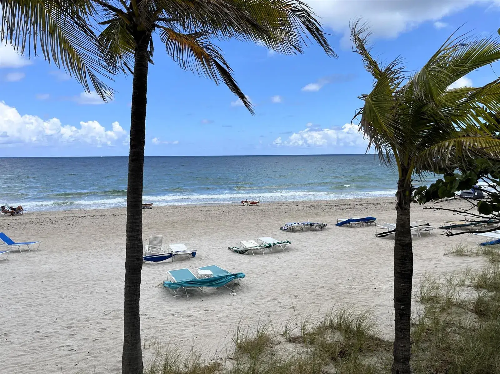3500 Galt Ocean Drive # 208, Fort Lauderdale FL 33308