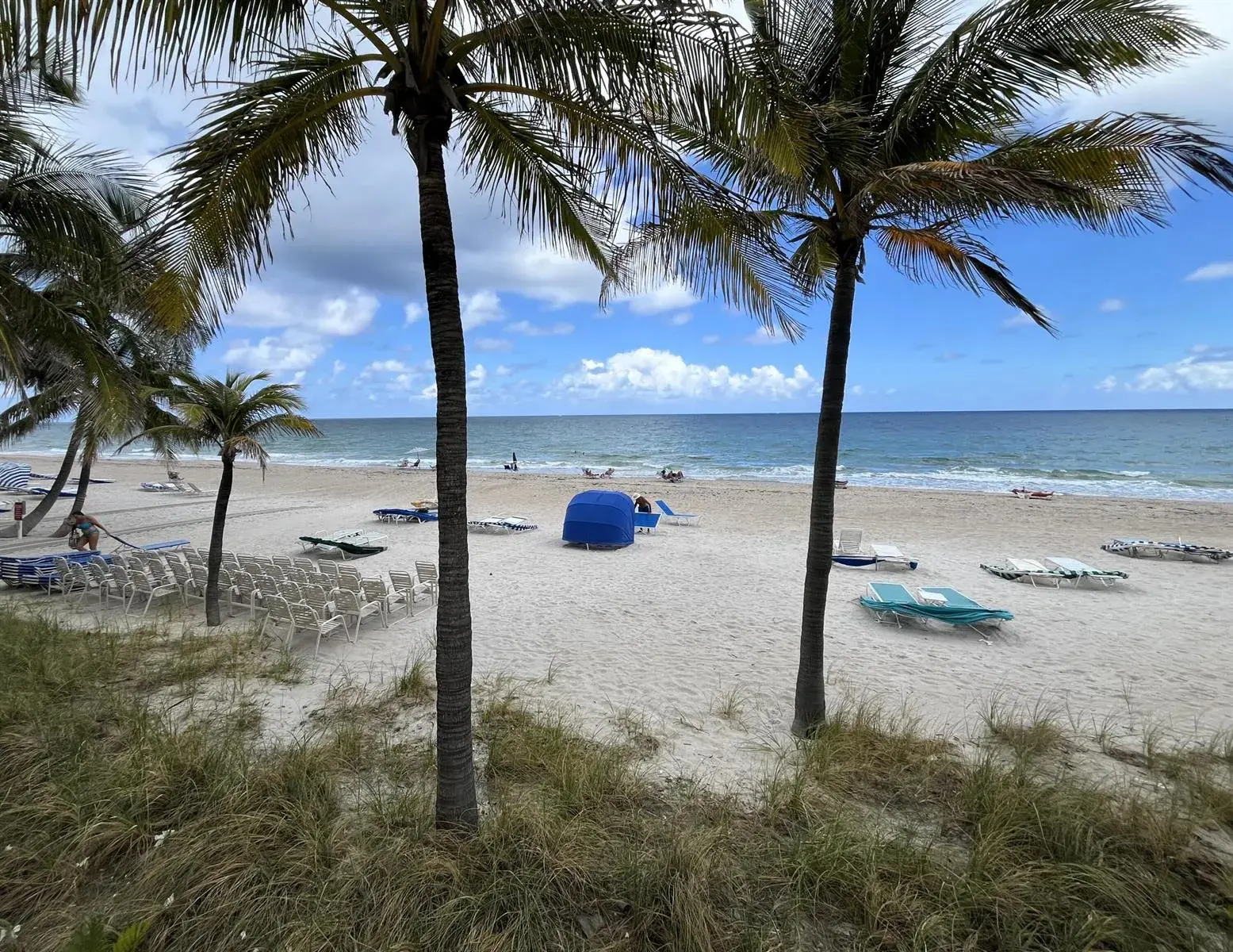3500 Galt Ocean Drive # 208, Fort Lauderdale FL 33308