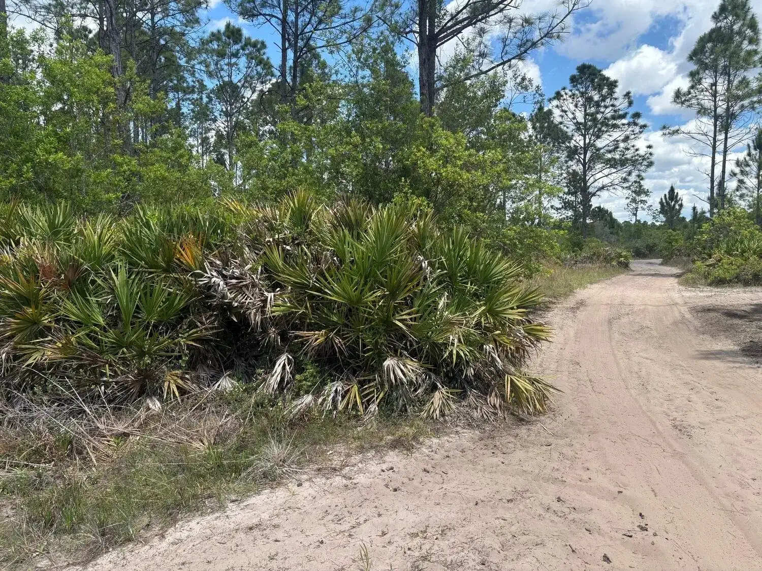 0 Holopaw Groves Road, FL 34772 photo 2