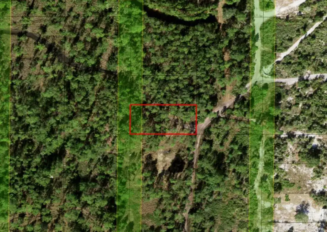 0 Holopaw Groves Road, FL 34772 photo 3