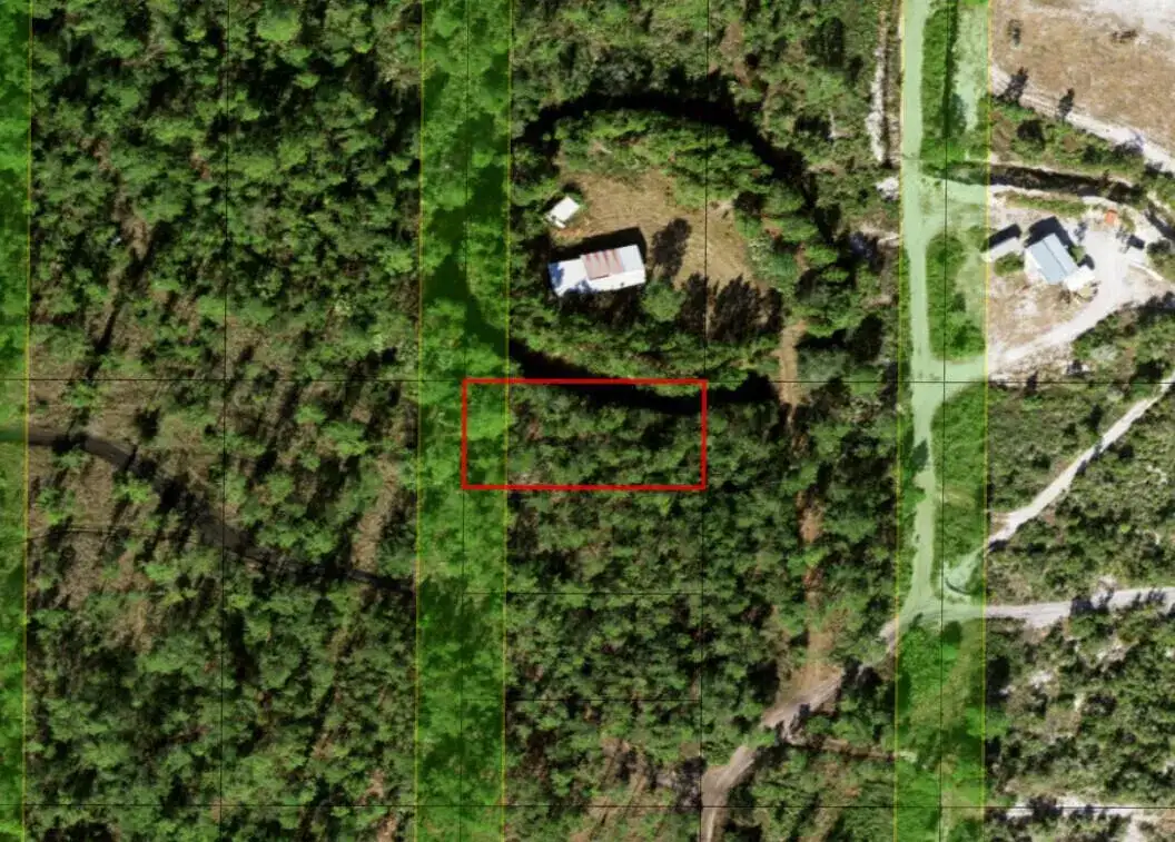 0 Holopaw Groves Road, FL 34772 photo 3