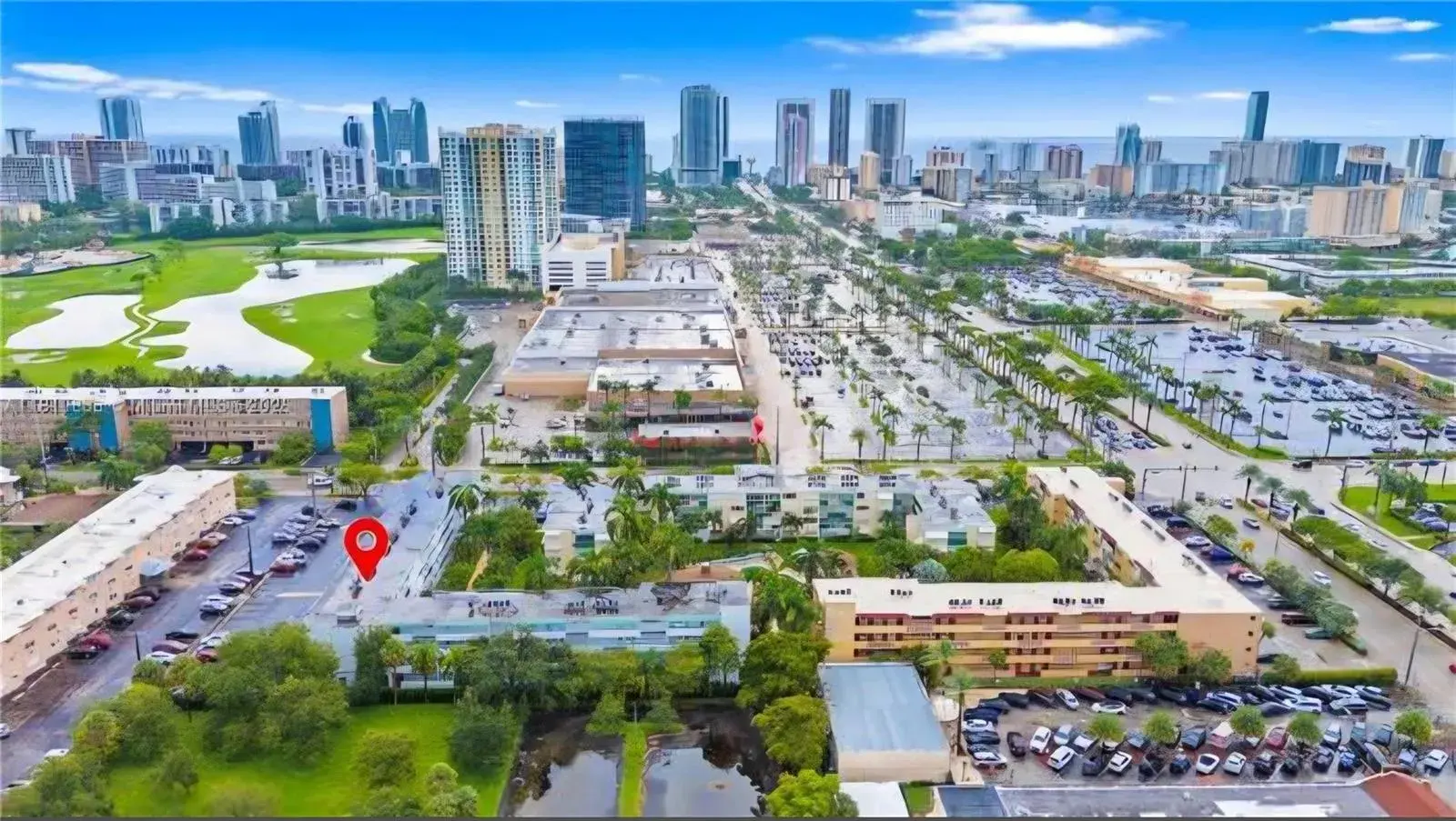 1333 E Hallandale Beach Boulevard # 305, Hallandale Beach FL 33009