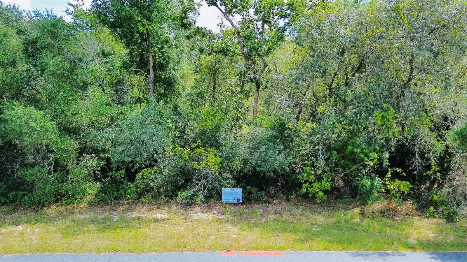 Tbd SW 37th Avenue, Ocala FL 34473 photo 2