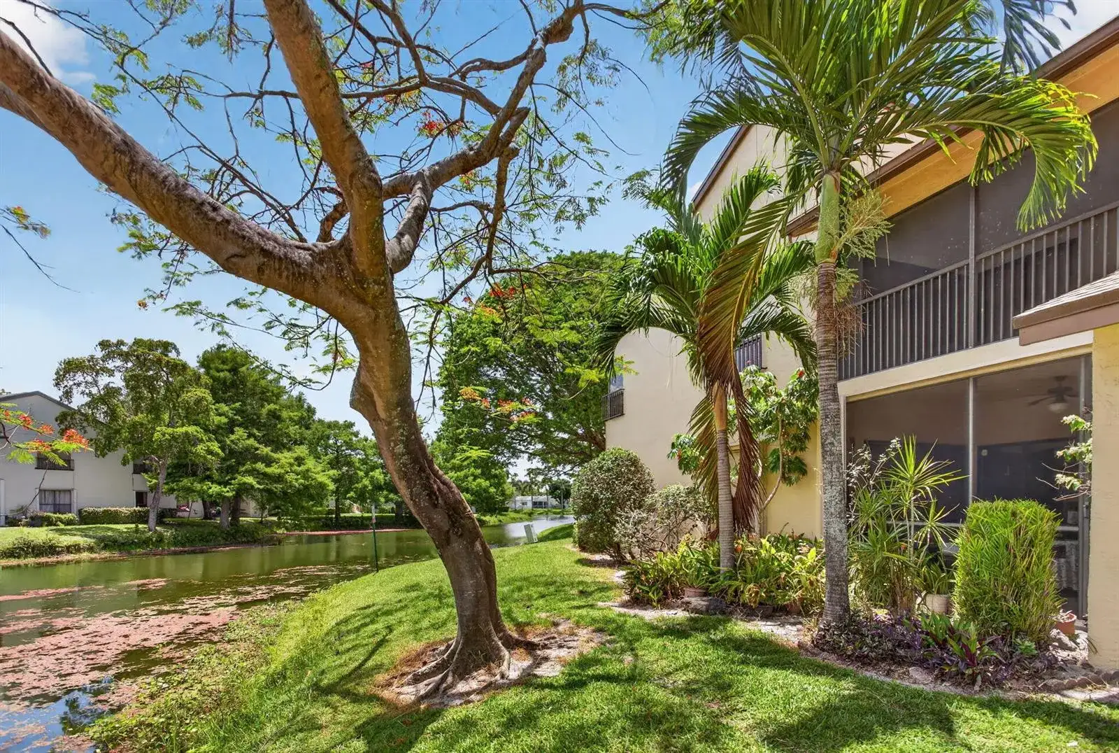3713 Cocoplum Circle # 3545, Coconut Creek FL 33063 photo 2