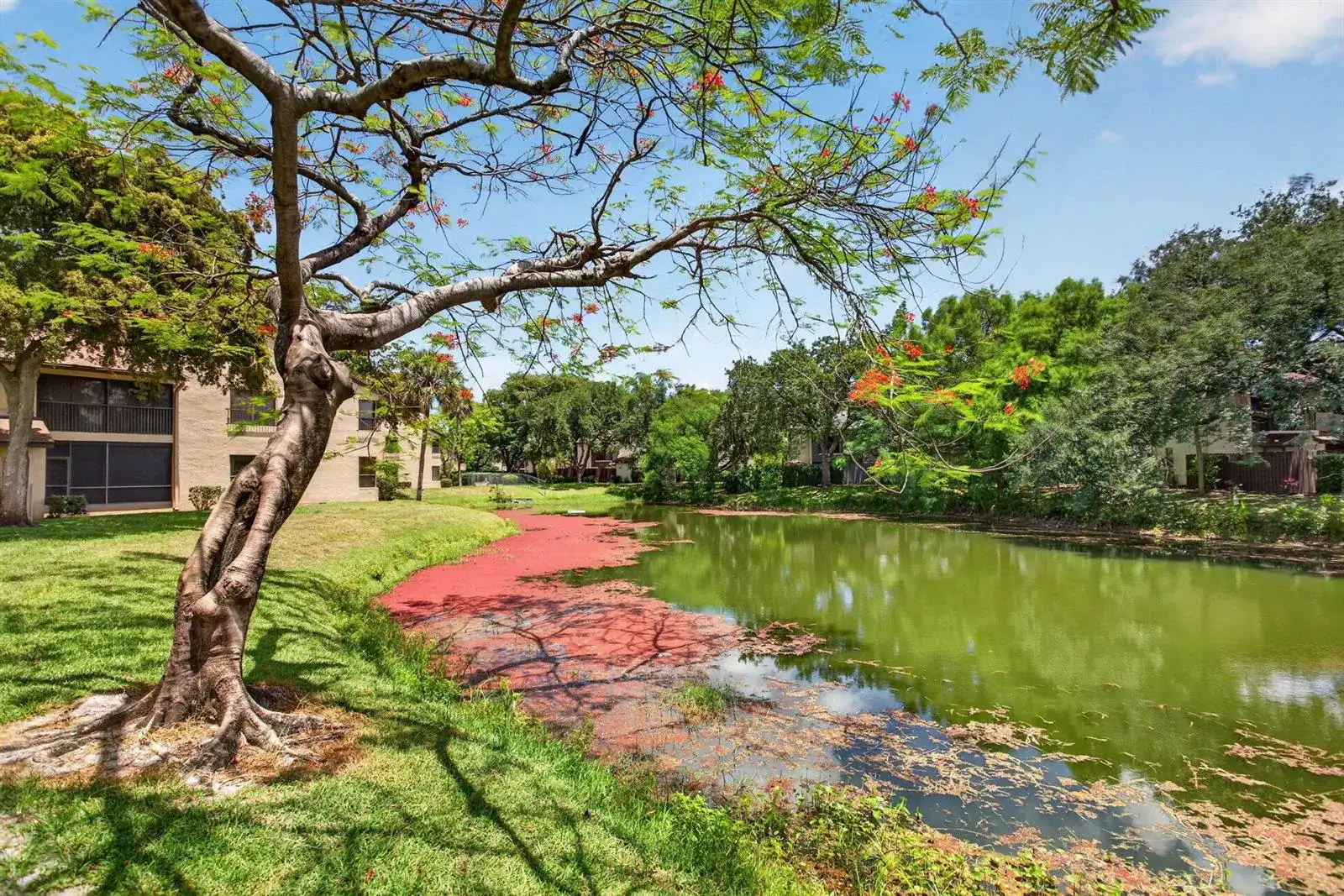 3713 Cocoplum Circle # 3545, Coconut Creek FL 33063 photo 4
