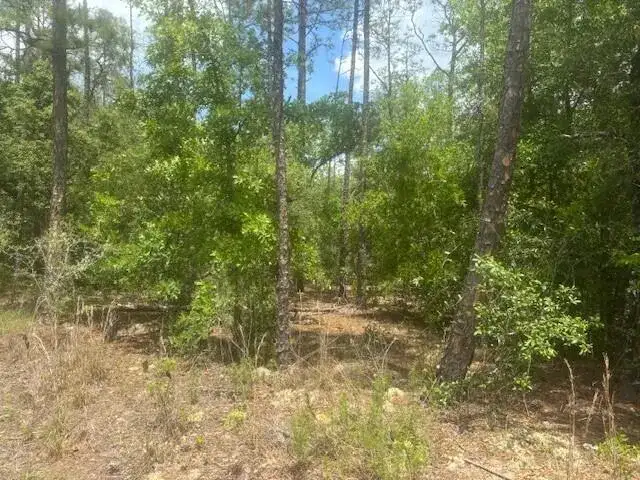 8593 N Bambury Terrace, FL 34434 photo 4