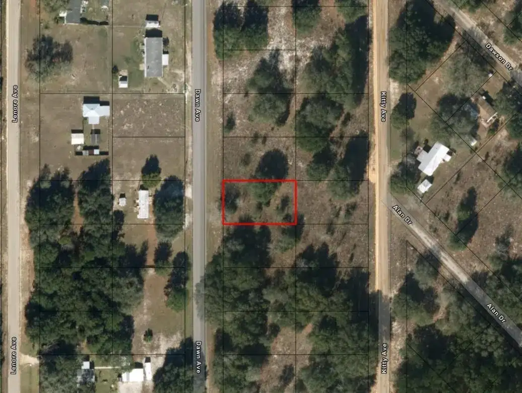 0 Dawn Avenue, FL 32148 photo 2