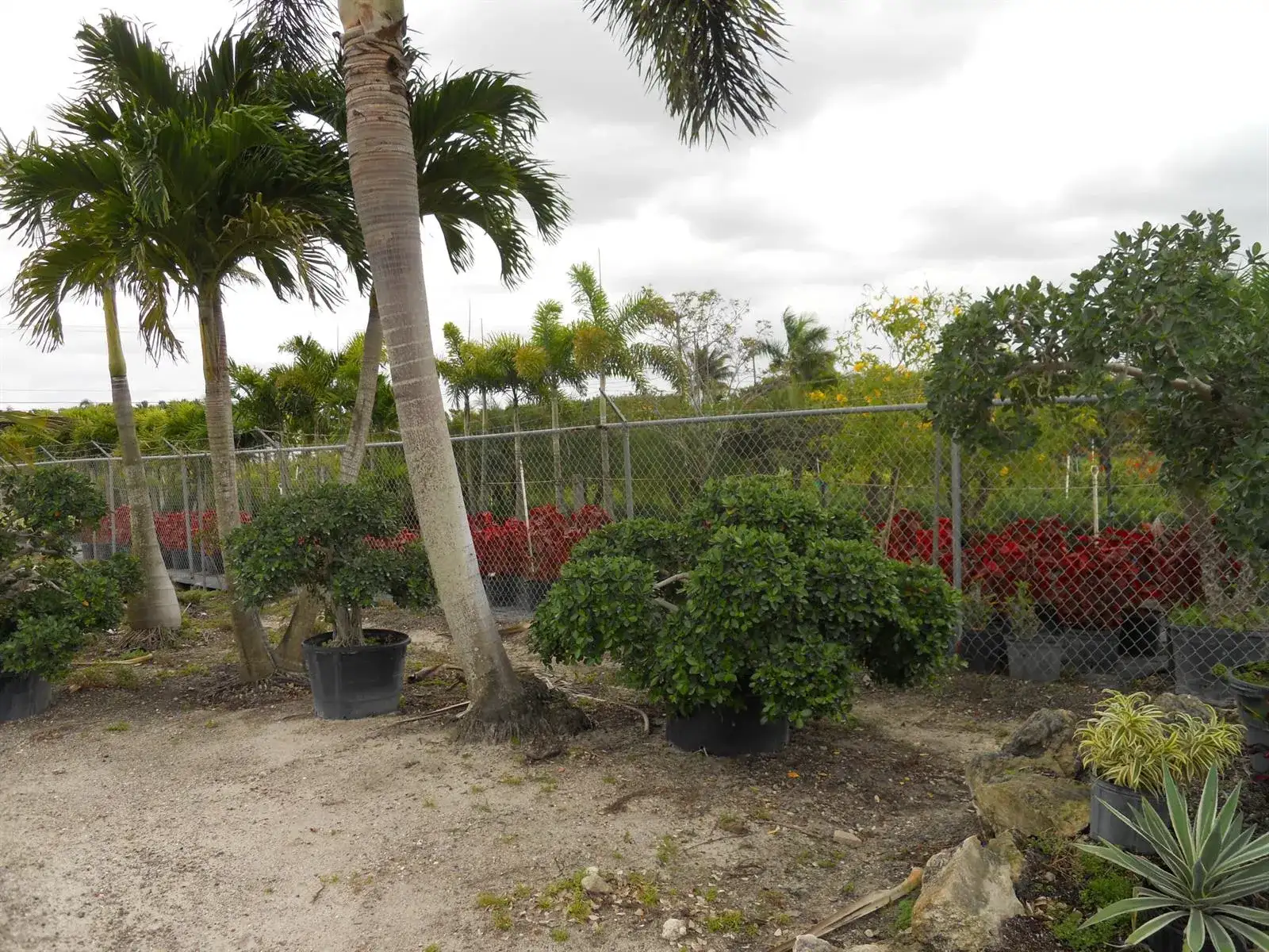 0000 Boynton Beach Blvd, Boynton Beach FL 33472 photo 5
