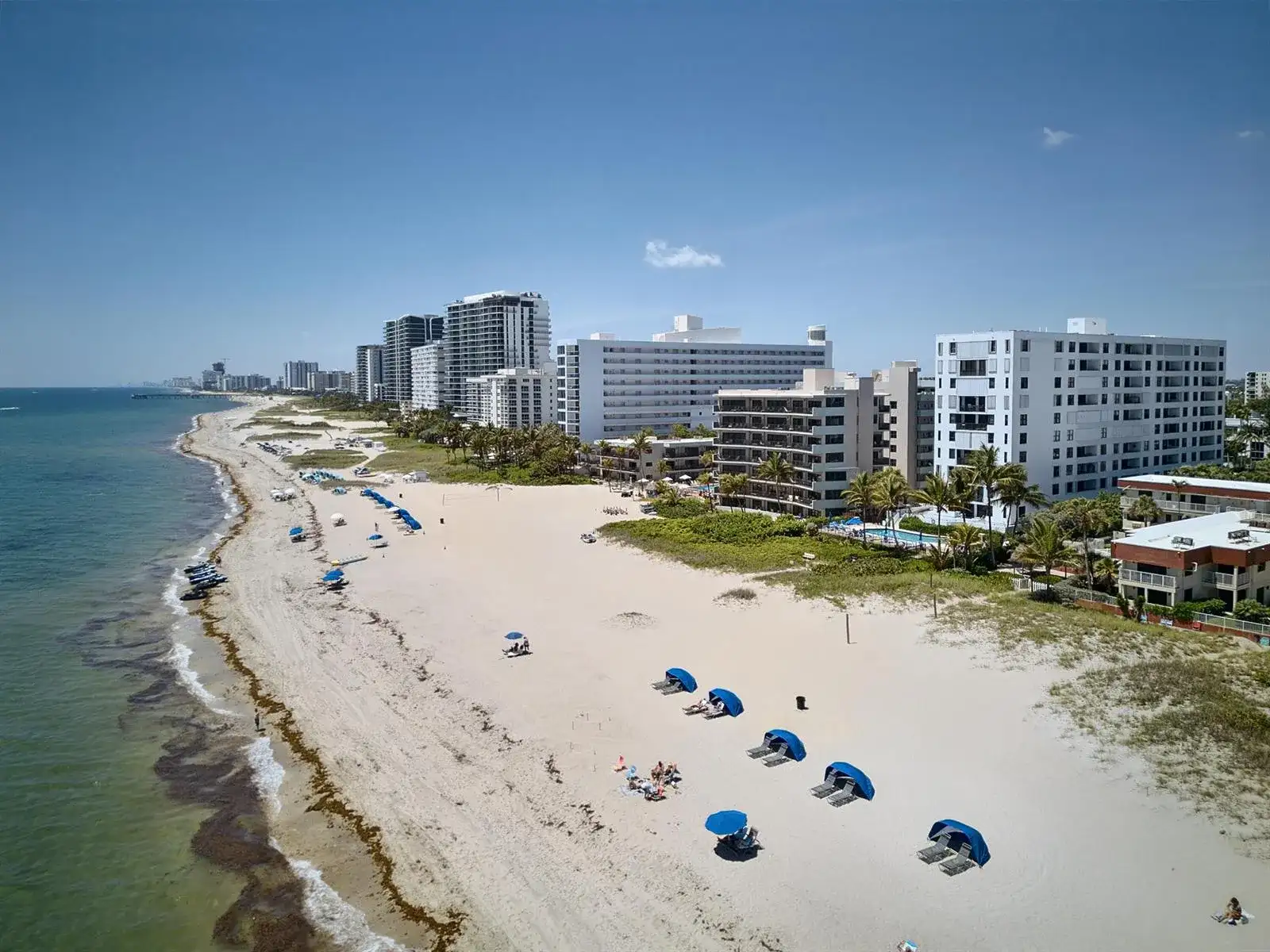 1500 N Ocean Boulevard # 803, Pompano Beach FL 33062 photo 5