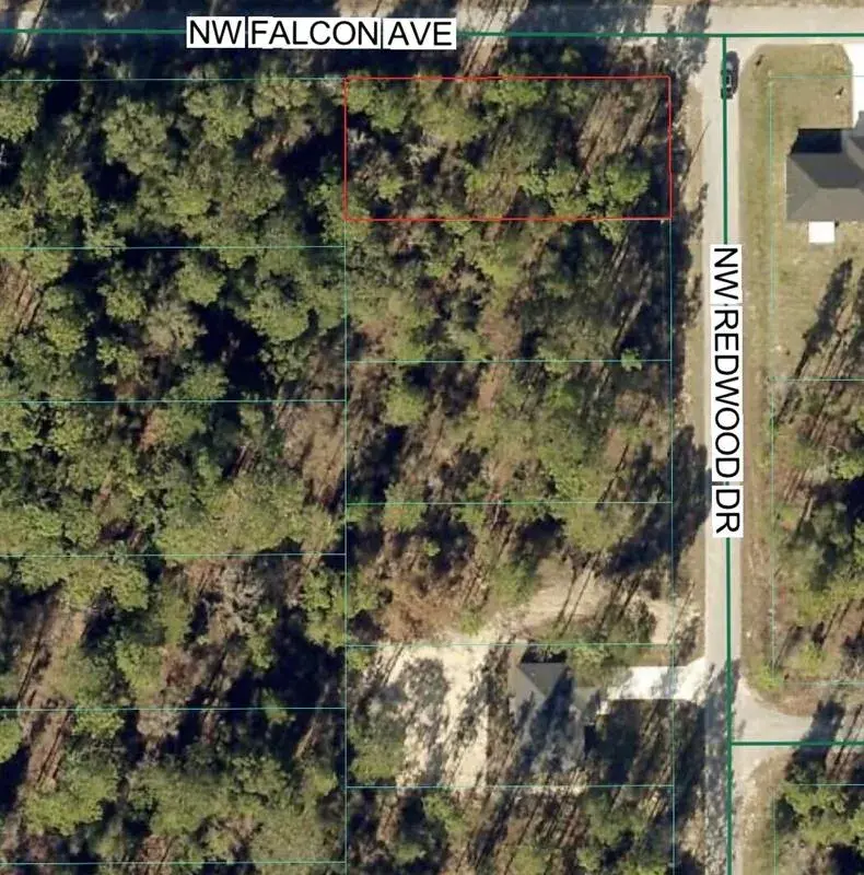 Tbd NW Redwood Drive, FL 34431