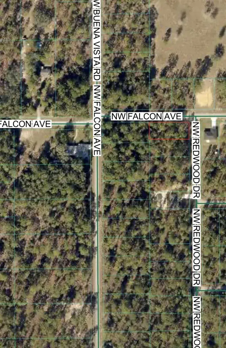 Tbd NW Redwood Drive, FL 34431