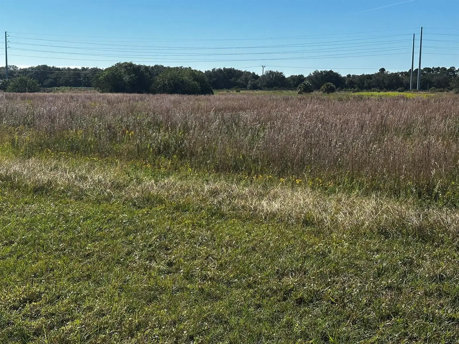 6674 SE 33rd Terrace, Okeechobee FL 34974 photo 5