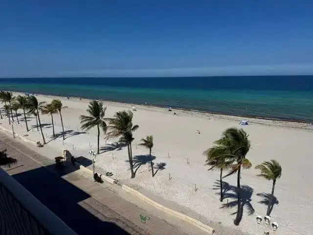 300 Oregon Street # 502, Hollywood FL 33019 photo 3