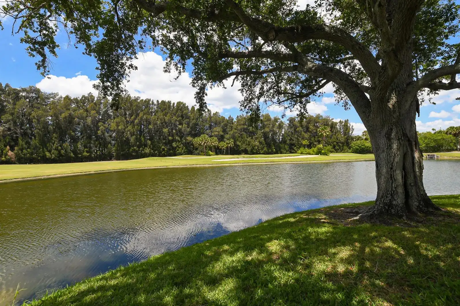 20 Plantation Drive # 101, Vero Beach FL 32966 photo 5